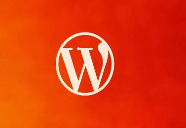 Websites Wordpress