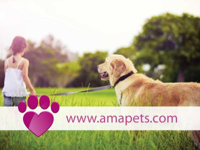 AmaPets - AMA (Agência Matrimonial Animal)