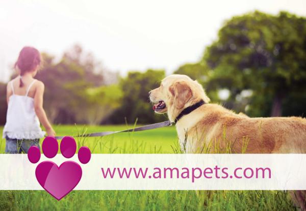 AmaPets - AMA (Agência Matrimonial Animal)