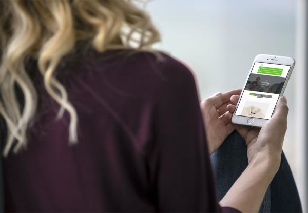 Case Study: Loja B2B sincronizada com loja B2C Shopify via API