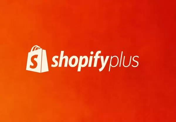 Advanced e-Commerce Systems