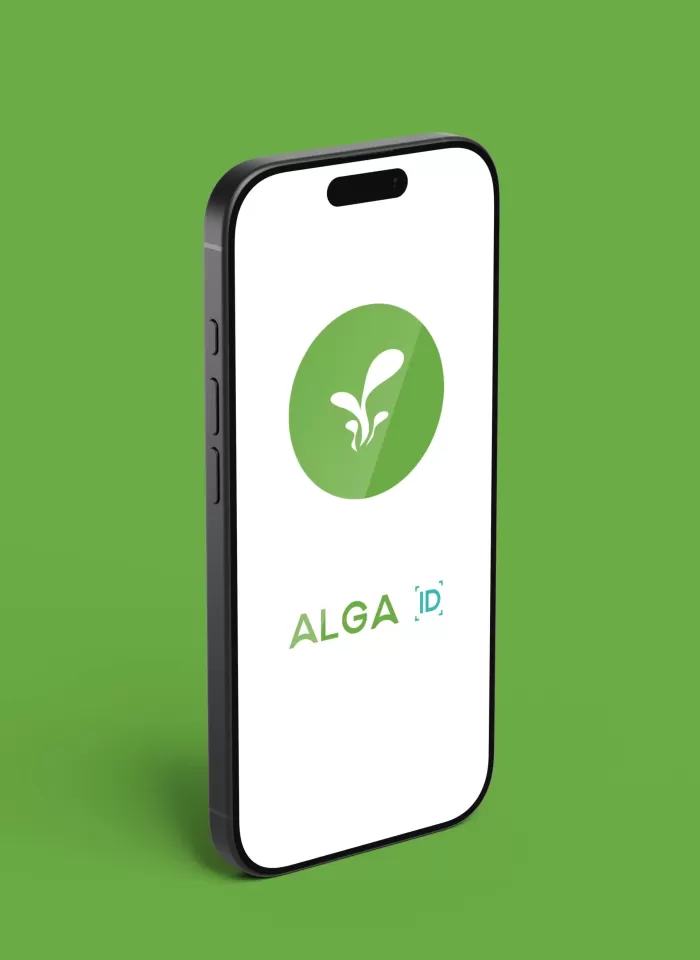 AlgaID Photo #3