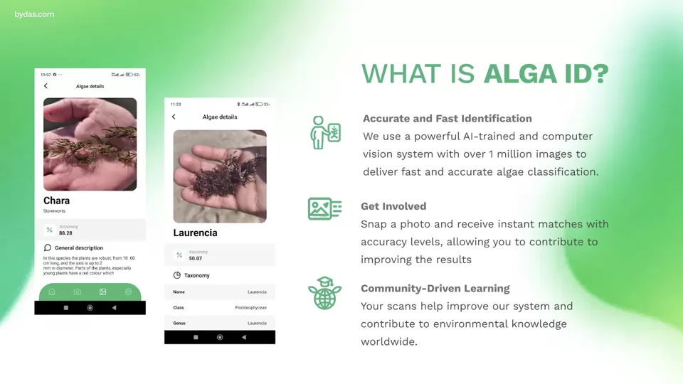 Slide #1 of the Alga ID application launch presentation