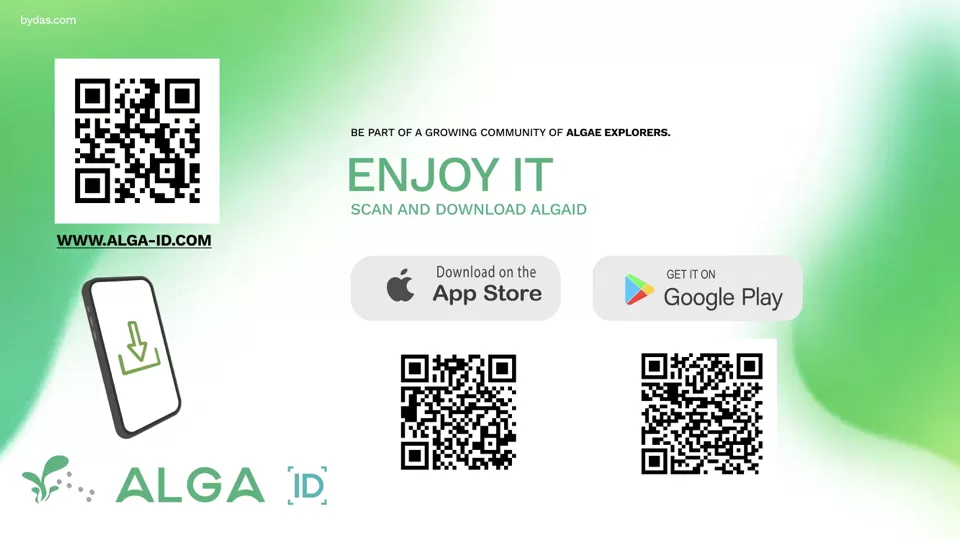 Slide #5 of the Alga ID application launch presentation